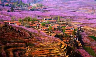 传奇之稀有装扮礼盒