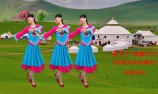 我是你的格桑花 我是你的格桑花