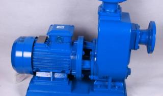 自吸无堵塞排污泵 自吸无堵塞排污泵