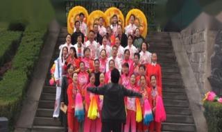 山丹丹开花红艳艳dj 山丹丹开花红艳艳dj