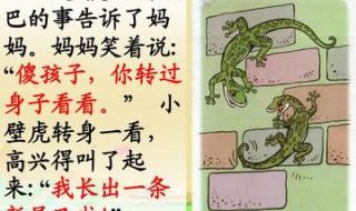 小壁虎借尾巴 小壁虎借尾巴