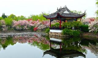 仿照荷花第二段写桃花 仿照荷花第二段写桃花