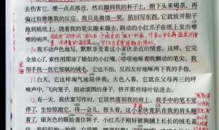 珍珠鸟课堂笔记图片 珍珠鸟课堂笔记图片